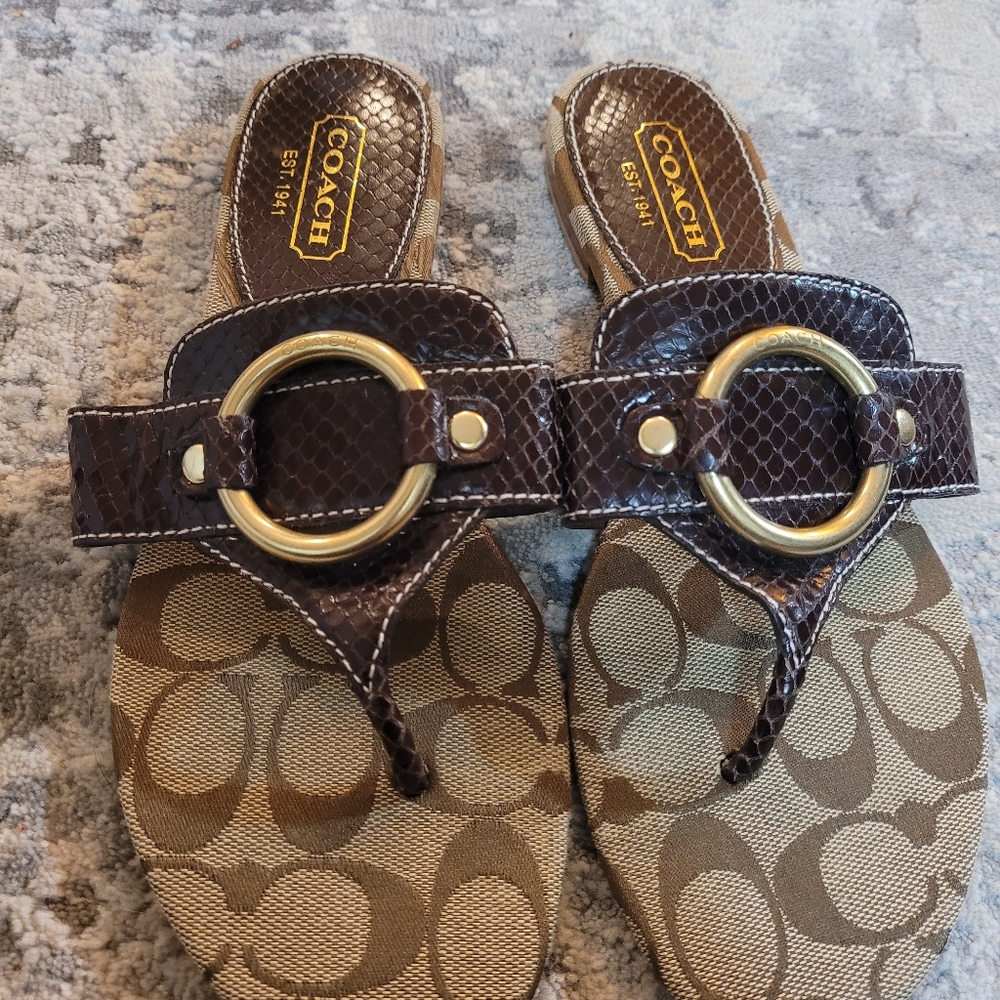 Coach Ritah thong flip flops brown snake skin